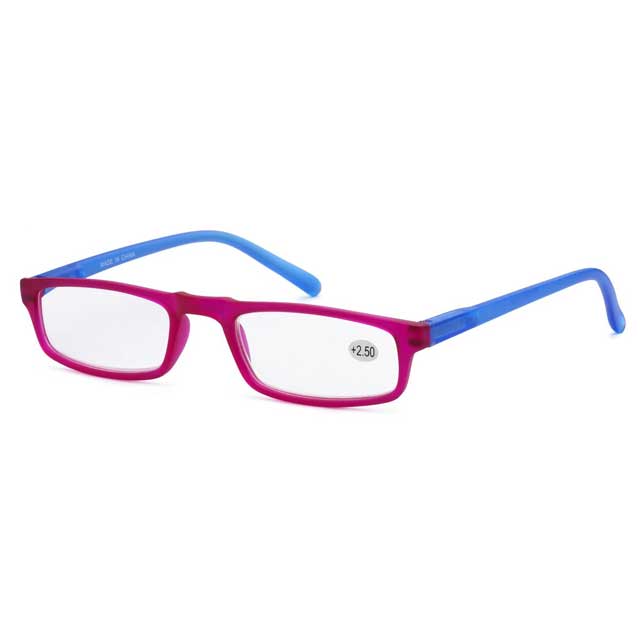 TWO COLOR RECTANGLE READING GLASSES 4047