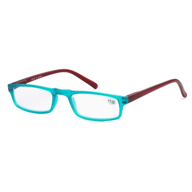 TWO COLOR RECTANGLE READING GLASSES 4047